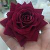 user7411045610783