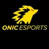 fannssonic