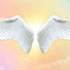 angel111111116