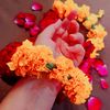 arshrajpoot67