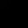 raeesl266