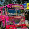 kavindu__bus__official