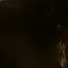 pollyannafelipee