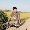 _ali1_33