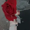ahmedragvcb