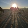 abdelnaceur90