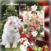 fayza.khaireddine