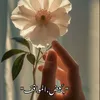 tarfahnasser