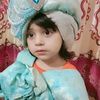 amna.gull78