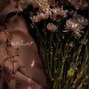 nhamad_3