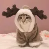 tiktok.notif.cat