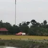 nng.nguyn141