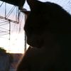 liza_cr10