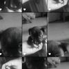 ._s_.zhiarita03