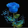 user41069207196617