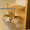 nhu_quynh170