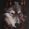 nathansr2