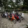 tranmanhquynh204