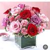 user632601313191