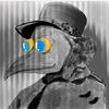 phoenixgsb
