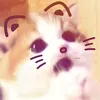 tnminh002