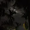 H🌪️