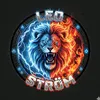leo__strom