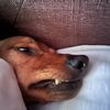 stitch67main