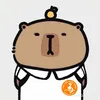_.nthphuc205
