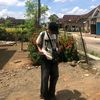 roya_1973