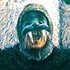 warlus__