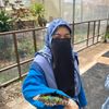 ninjabuataffiliate