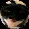 ronaldo_bebra1
