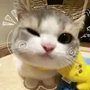 hanafatimasatal