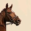 alturki_502