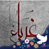 mahmod19225