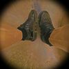 s4kl_k4zim
