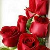 fatma.hamami0
