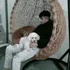 quangdepzaii3