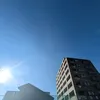 vadgnjz