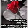 sandraalvarez6740