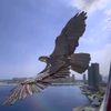 egyptineagle