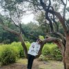 elispryh