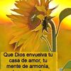 user5363181204475