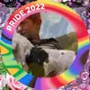 hassanibrahimzade0