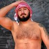 thebeardedsebas