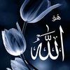 farawlaya245