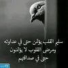 aqo___23
