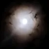 l_0wk