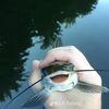 frosty_klips12